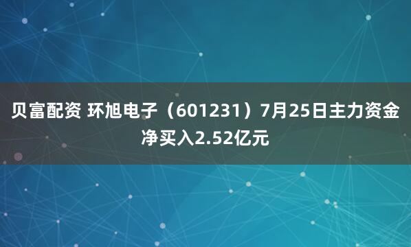 贝富配资 环旭电子(601231)7月25日主力资金净买入2.52亿元